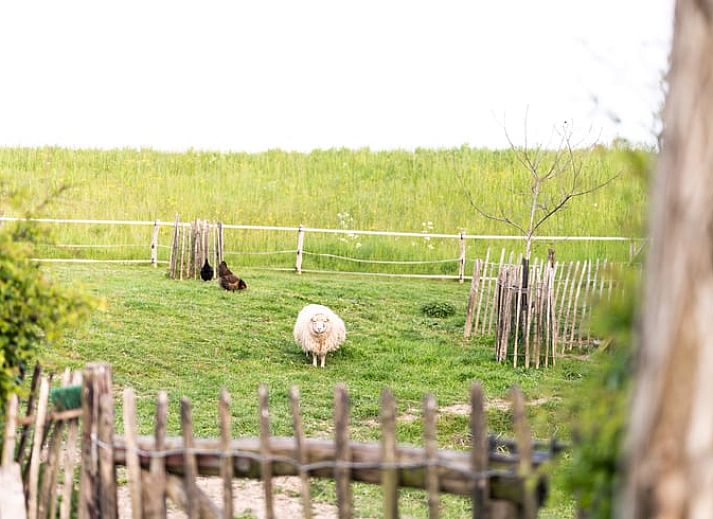 Guest house 287103 - Bed and Breakfast Rivierengebied - Huisje in Maasbommel