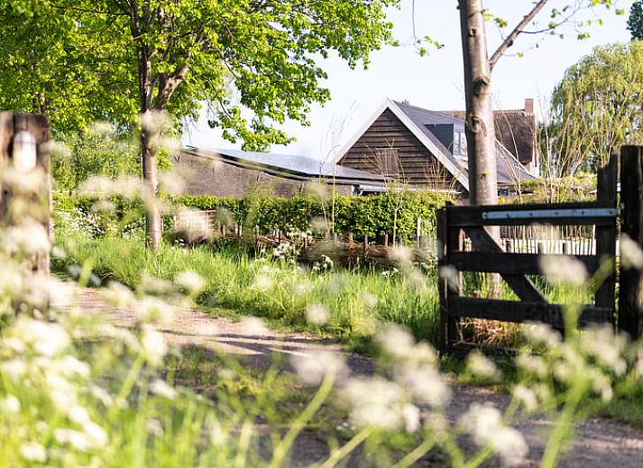 Guest house 287103 - Bed and Breakfast Rivierengebied - Huisje in Maasbommel