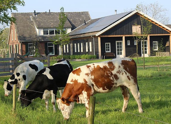 Verblijf 291310 • Bed and breakfast Achterhoek • Vakantiehuis in Westendorp