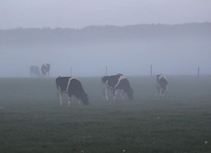 Modernes Badezimmer im Ferienhaus in Westendorp, Achterhoek, mit stilvoller Dusche und Waschbecken.