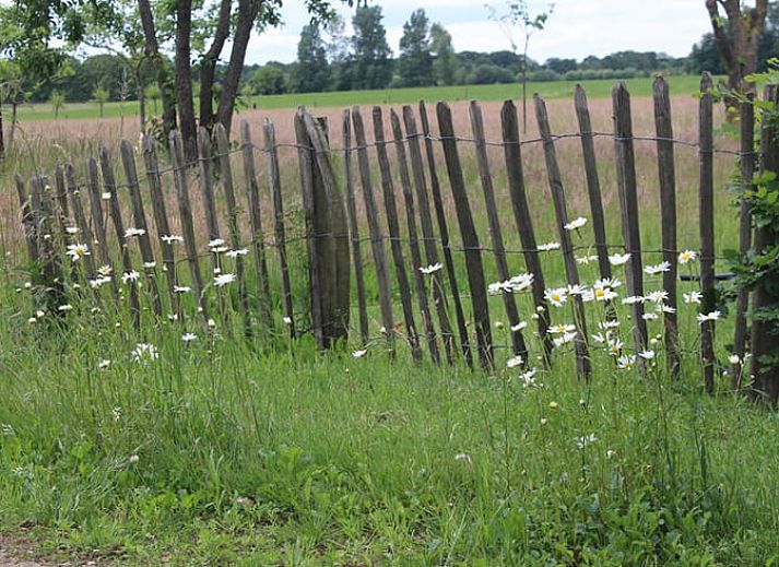 Guest house 291311 - Bed and Breakfast Achterhoek - Vakantiehuis in Westendorp