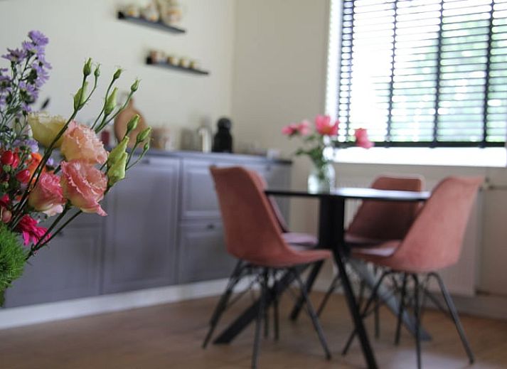Guest house 291809 - Bed and Breakfast Achterhoek - Huisje in Laren GLD