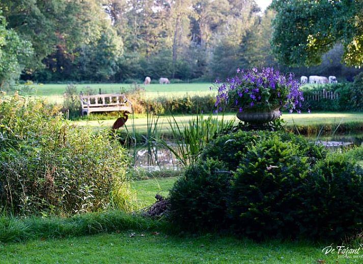 Guest house 291811 - Bed and Breakfast Achterhoek - Vakantiehuisje in Laren