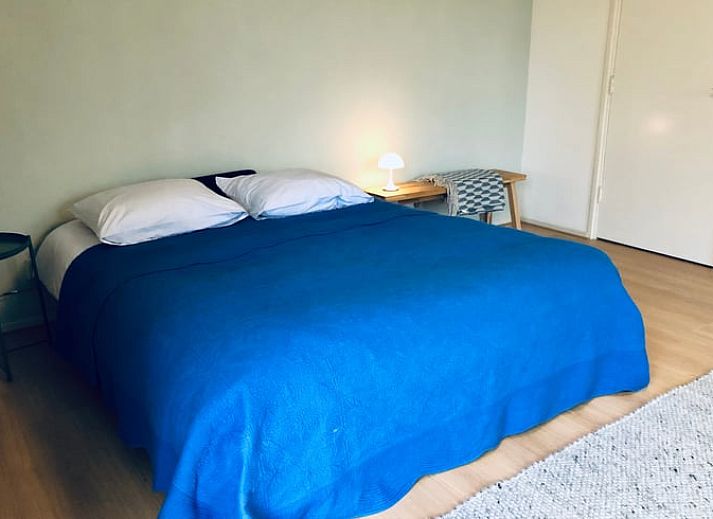 Ferienhaus in Baak mit weitem Blick auf die gruene Wiese und Schafe, in der rustikalen Achterhoek, Gelderland gelegen.