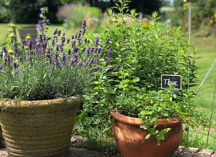 Modernes Badezimmer im Ferienhaus in Baak, Achterhoek, mit Blick auf das komfortable Schlafzimmer.
