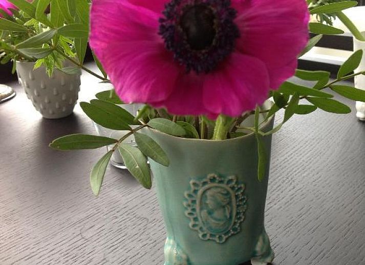 Verblijf 304108 - Bed and breakfast Hart van Brabant - B&B Winterresidentie