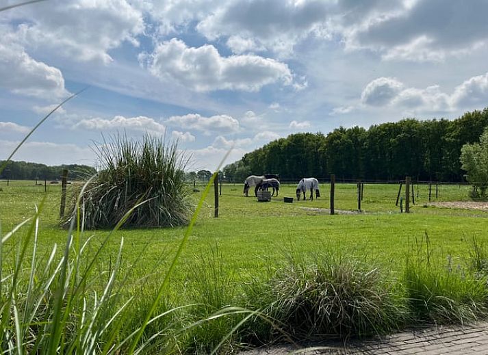 Geniet van de veranda bij Vakantiehuisje in Garderen, Veluwe, met uitzicht op de groene omgeving.
