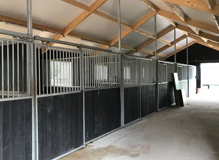 Ontspannen op het terras van Vakantiehuisje in Garderen, Veluwe, met comfortabele loungebanken.