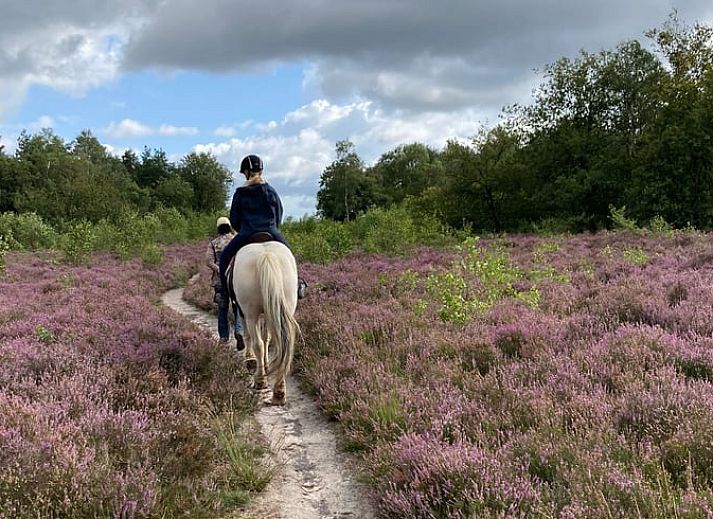 Buitenzitplaats bij Vakantiehuisje in Garderen, Veluwe, omgeven door natuur en rust.