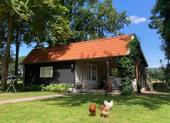 Verblijf 322108 • Bed and breakfast Veluwe • Huisje in Wezep