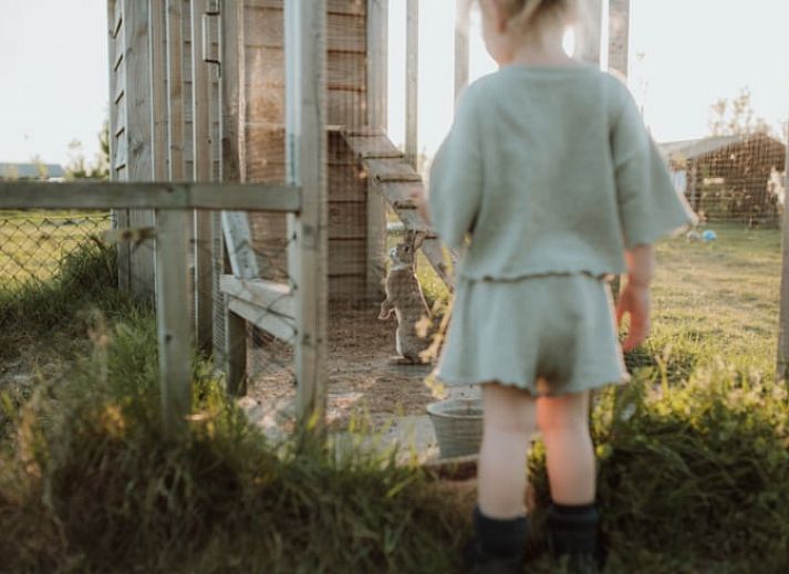 Rustieke keuken met rode pannen in Huisje in Oosterwolde, Veluwe, Gelderland.