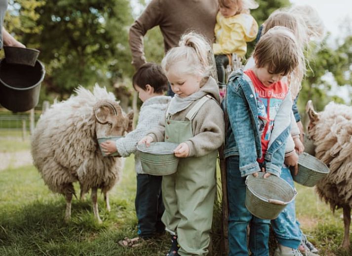 Rustieke keuken met rode pannen in Huisje in Oosterwolde, Veluwe, Gelderland.