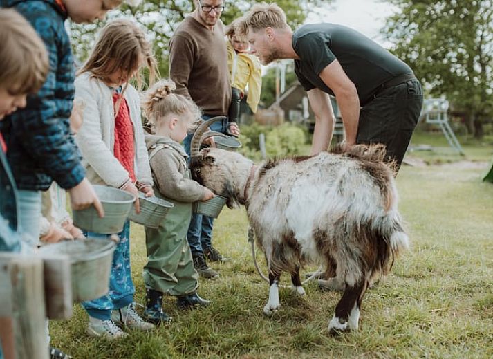 Rustieke keuken met rode pannen in Huisje in Oosterwolde, Veluwe, Gelderland.