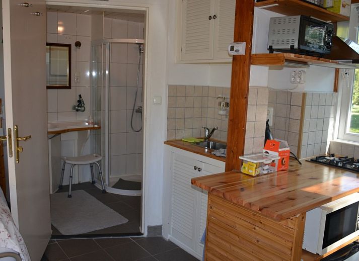 Geniet van de groene tuin bij Bed and Breakfast Het Puttertje in Hattem, Veluwe, Gelderland.