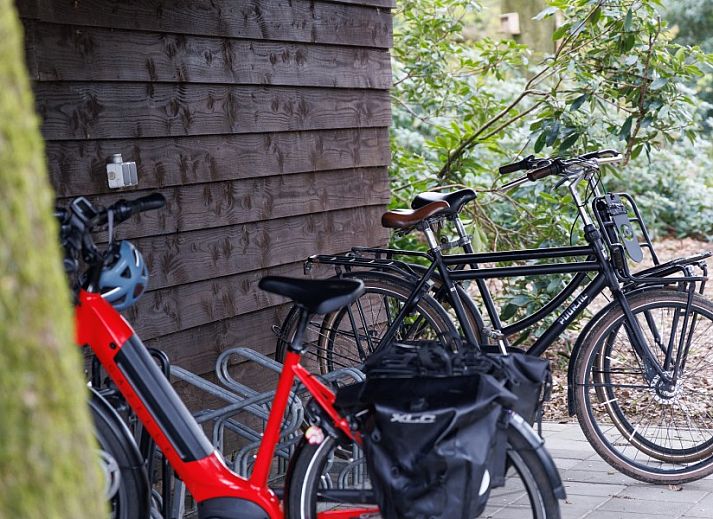 Guest house 325536 - Bed and Breakfast Veluwe -  studio REE