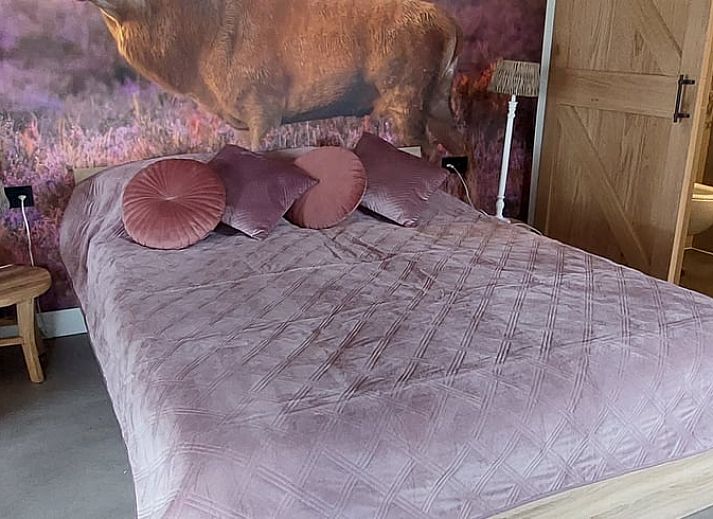 Geniessen Sie die gemuetliche Veranda im Ferienhaus in Stroe, Veluwe, Gelderland.