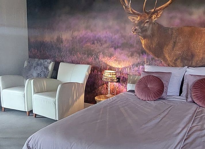 Geniessen Sie die gemuetliche Veranda im Ferienhaus in Stroe, Veluwe, Gelderland.