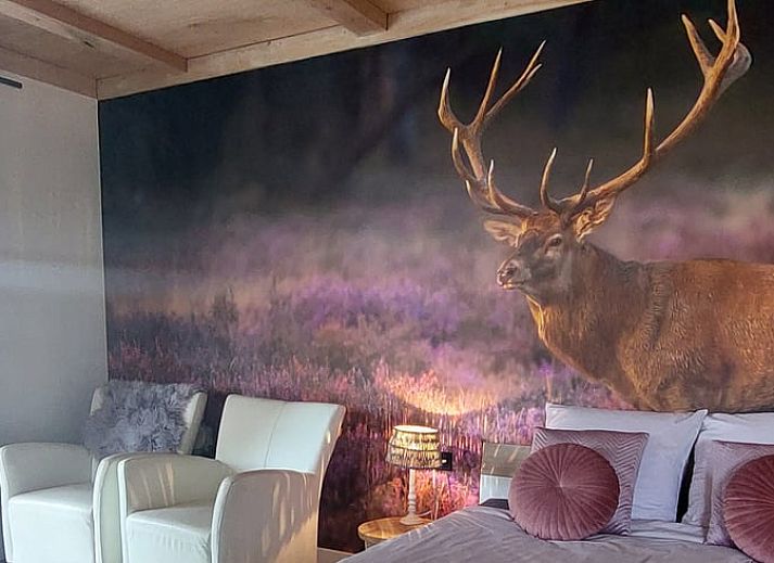 Terrace of Holiday Home in Stroe, Veluwe, with comfortable seating.