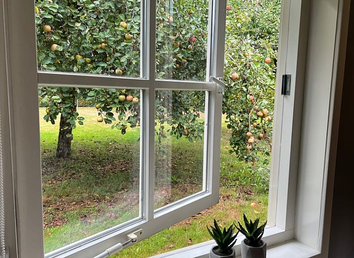 Charmantes Ferienhaus in Beemte Broekland mit gruenem Garten und Terrassenweg, gelegen in der Veluwe in Gelderland.