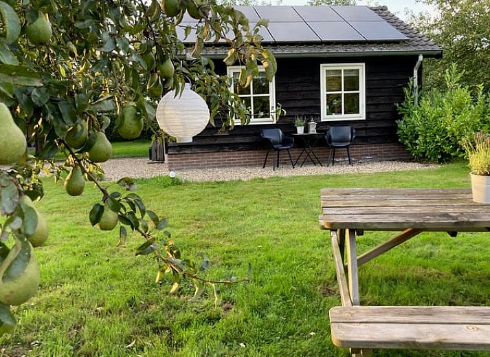 Charmantes Ferienhaus in Beemte Broekland mit gruenem Garten und Terrassenweg, gelegen in der Veluwe in Gelderland.