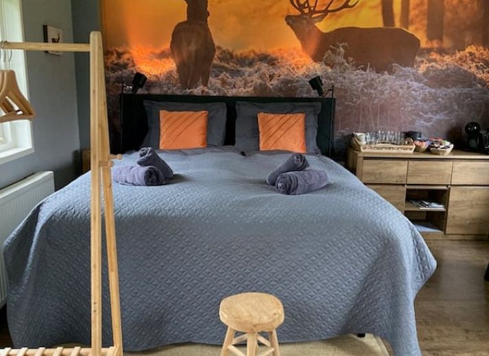 Gemuetliches Bed and Breakfast Ferienhaus in Beemte Broekland mit laendlicher Atmosphaere in der Veluwe, Gelderland.