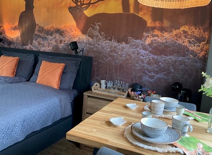 Gemuetliches Bed and Breakfast Ferienhaus in Beemte Broekland mit laendlicher Atmosphaere in der Veluwe, Gelderland.