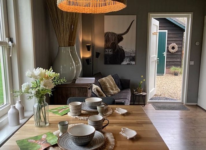 Stimmungsvolle Holzbank am Ferienhaus in Beemte Broekland, umgeben von bluehenden Pflanzen in der Veluwe.