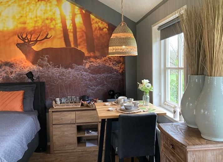 Stimmungsvolle Holzbank am Ferienhaus in Beemte Broekland, umgeben von bluehenden Pflanzen in der Veluwe.