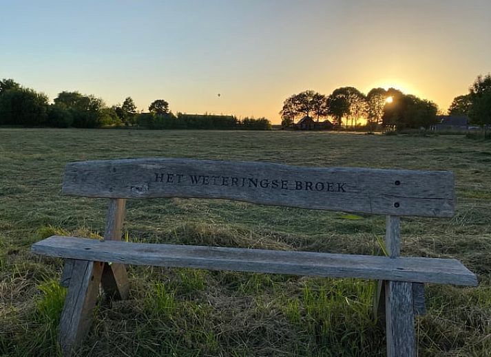 Blick auf Obstbaeume aus dem Fenster des Ferienhauses in Beemte Broekland, mitten in der Natur der Veluwe.
