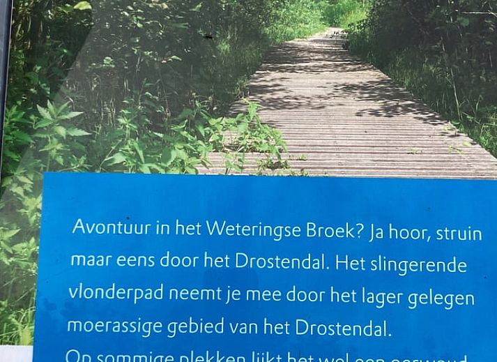 Blick auf Obstbaeume aus dem Fenster des Ferienhauses in Beemte Broekland, mitten in der Natur der Veluwe.