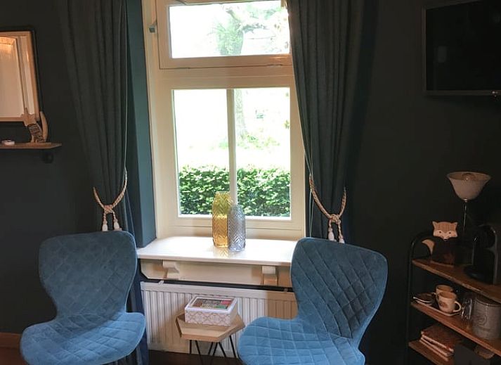 Gezellige zithoek in Vakantiehuis in Oene, Veluwe, met comfortabele stoelen en bloemen voor een ontspannen verblijf.