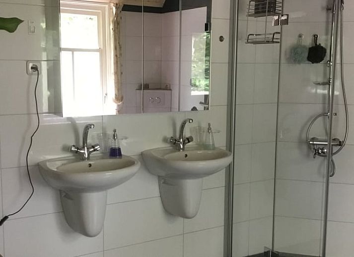 Gezellige zithoek in Vakantiehuis in Oene, Veluwe, met comfortabele stoelen en bloemen voor een ontspannen verblijf.