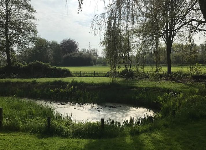 Lichte binnenruimte in Vakantiehuis in Oene, Veluwe, met sierlijke hekjes en uitzicht op de natuur van Gelderland.