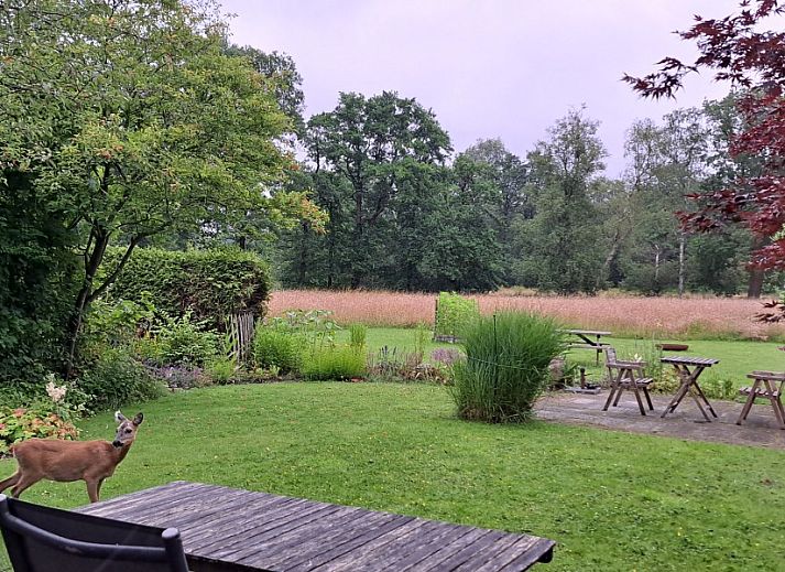 Moderne keukeninrichting in bed & breakfast DE DOBBE in Glimmen, Groningen.