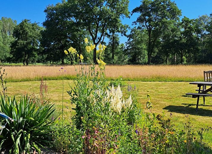 Ruime binnenruimte met uitzicht op de tuin bij bed & breakfast DE DOBBE in Glimmen, Groningen.