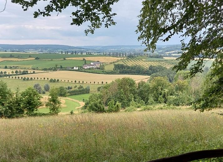 Gezellig terras bij Schuurtje 1860 in Partij-Wittem, Zuid Limburg, ideaal voor ontspanning in deze bed and breakfast.
