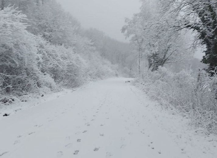 Comfortabele slaapkamer met houten details in Schuurtje 1860, een knusse bed and breakfast in Partij-Wittem, Zuid Limburg.