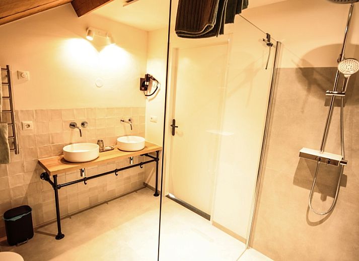 Rural setting at Hof van Kleeberg, Kleeberg, South Limburg, with grazing cows in nature.