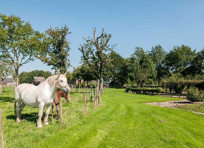 Stylish kitchen in Hof van Kleeberg, Kleeberg, South Limburg, vacation home with modern interior.