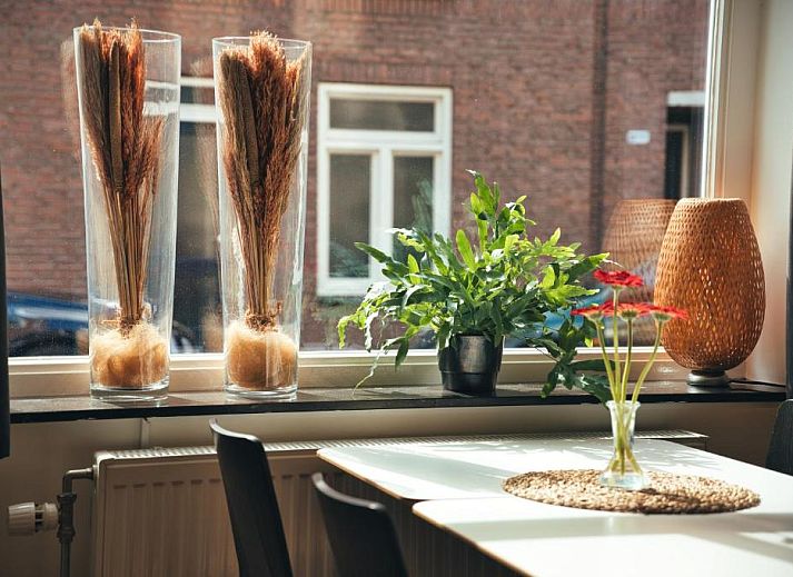 Verblijf 433806 - Bed and breakfast Noord Limburg - B&B De Hofnar Roermond