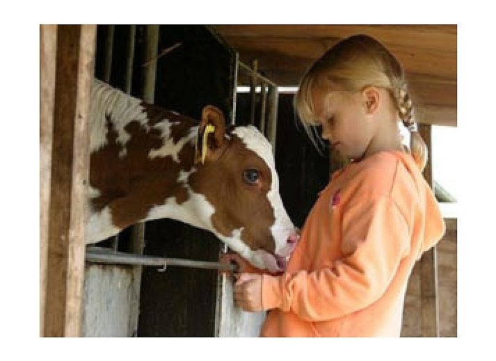 Pittoresk uitzicht vanaf een boot bij Hoeve Meerzicht, Monnickendam, met weidse natuur en waterwegen in Noord-Holland.