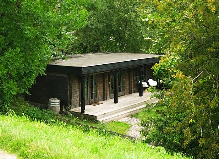 Vakantiehuis in Schellinkhout omringd door groen, ideaal voor natuurliefhebbers in Noord-Holland.