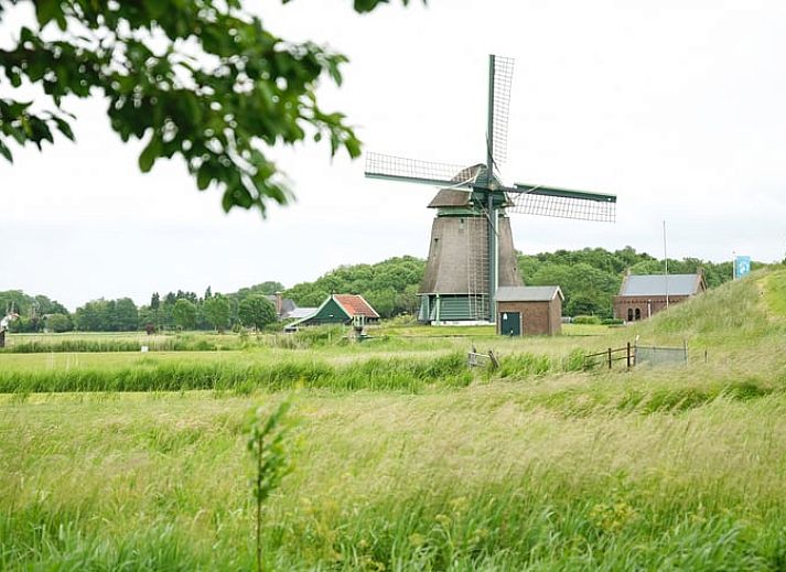 Vakantiehuis in Schellinkhout omringd door groen, ideaal voor natuurliefhebbers in Noord-Holland.