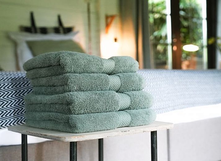 Pittoreske molen in de omgeving van Vakantiehuis in Schellinkhout, Noord-Holland.