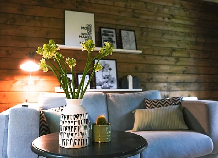 Pittoreske molen in de omgeving van Vakantiehuis in Schellinkhout, Noord-Holland.