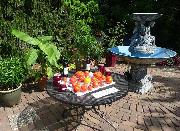 Verblijf 493805 - Bed and breakfast Midden Limburg - B&B De Kleine Wijngaard