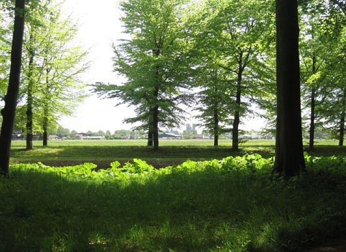 Modernes Badezimmer im B&B Paula, Haarlem, mit einer geraeumigen Dusche. Geniessen Sie den Komfort waehrend Ihres Aufenthalts in Nordholland.