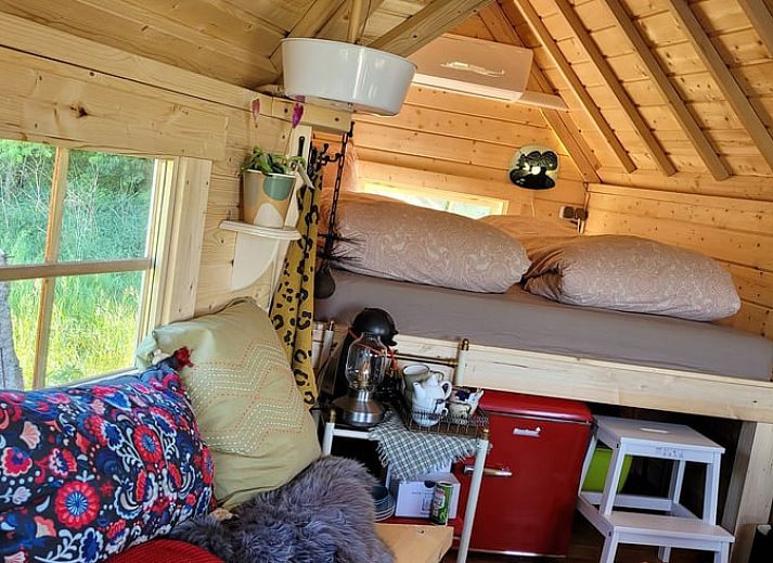 Gemuetliches Holzferienhaus in Overdinkel, Twente, Overijssel, umgeben von gruener Natur.