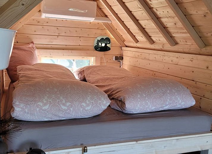 Charmanter Aussenbereich des Ferienhauses in Overdinkel, Twente, mit Holzterrasse und Gartenmoebeln.