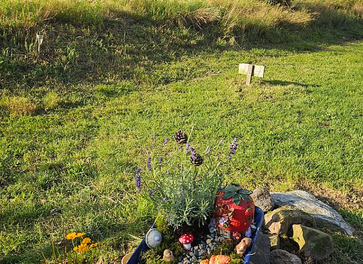 Rueckseite des Ferienhauses in Overdinkel, Twente, mit Blick auf weite Wiesen.